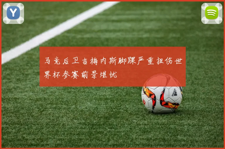 马竞后卫吉梅内斯脚踝严重扭伤世界杯参赛前景堪忧